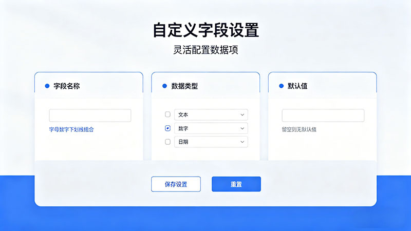 自定义字段
